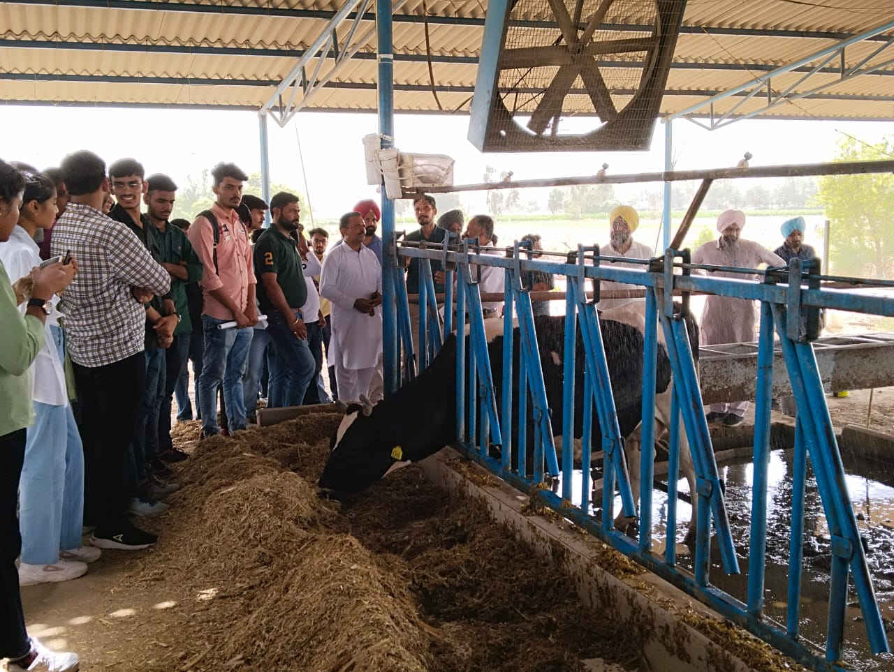 Entrepreneurship Opportunities in Sustainable Livestock Management