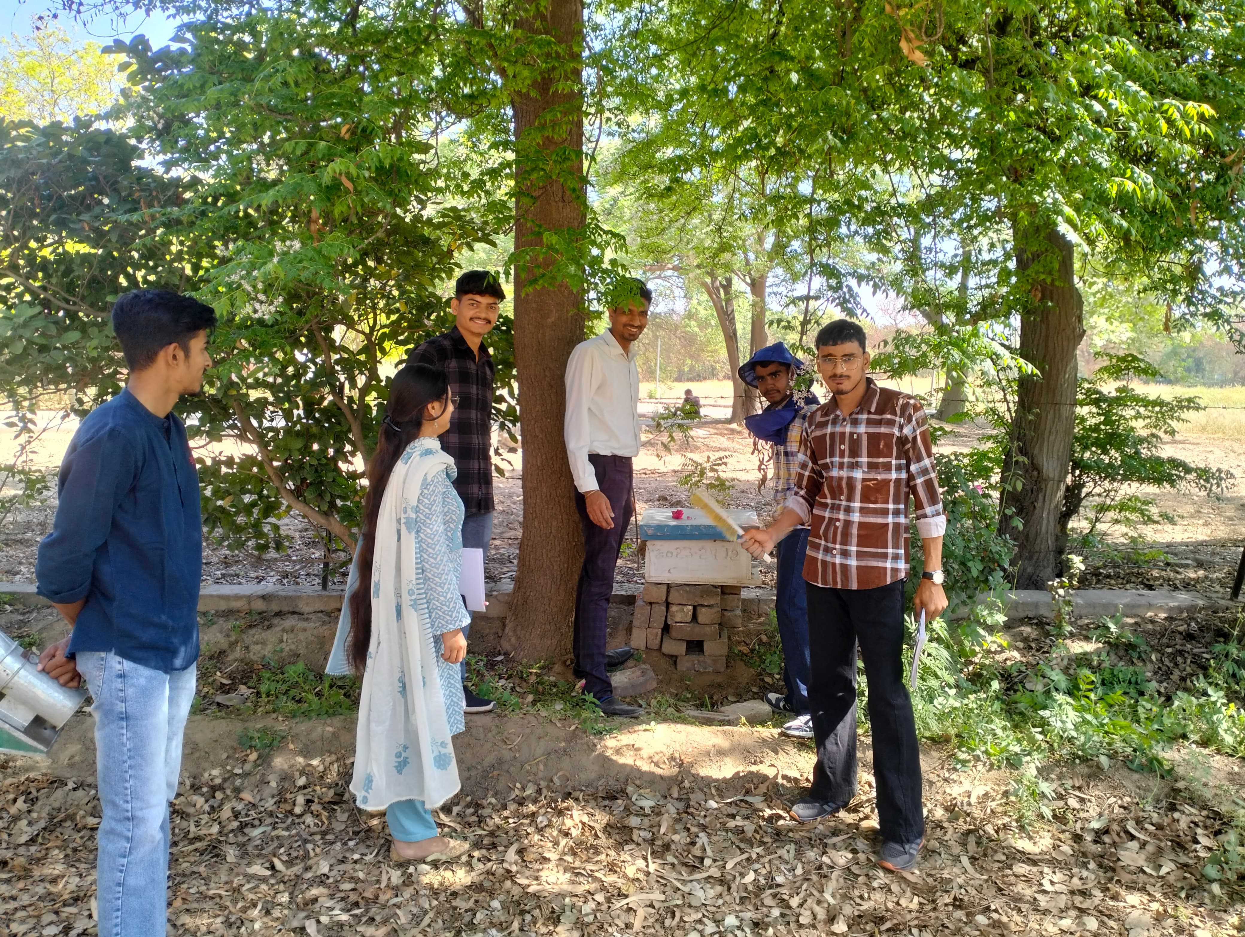 Exploring Opportunities in Apiculture